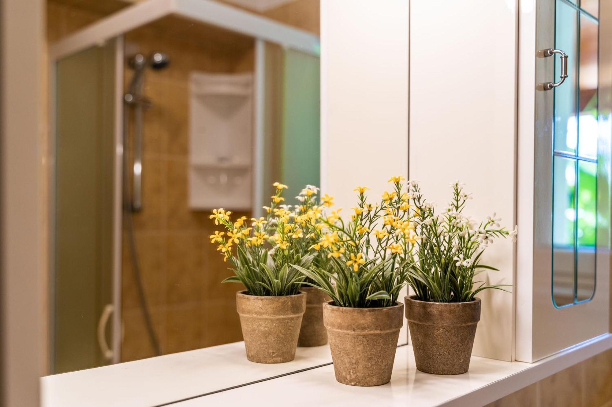 Apartments & Room Frane Dubrovnik Rum bild